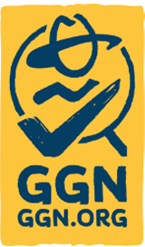 siegel_ggn
